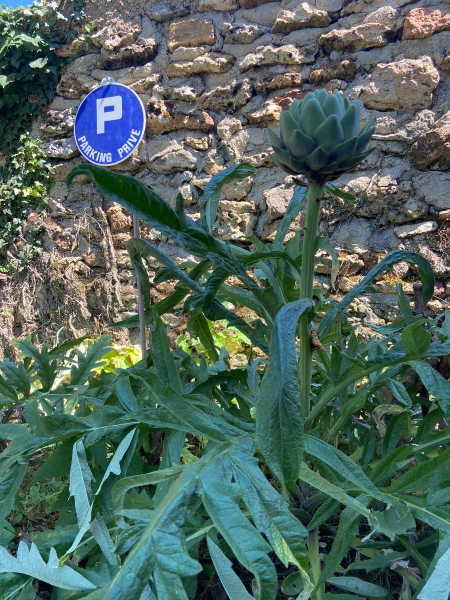 La Petite Maison Dans La Brie Βίλα Guérard Εξωτερικό φωτογραφία